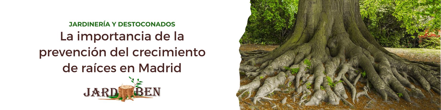 prevención-crecimiento-raices